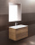 Зеркало BelBagno SPC-AL-800-900 Зеркало BelBagno SPC-AL-800-900